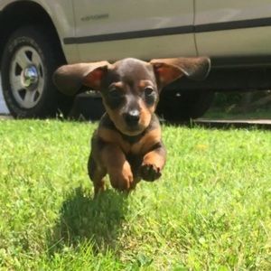 Meet your Posher, Alissa